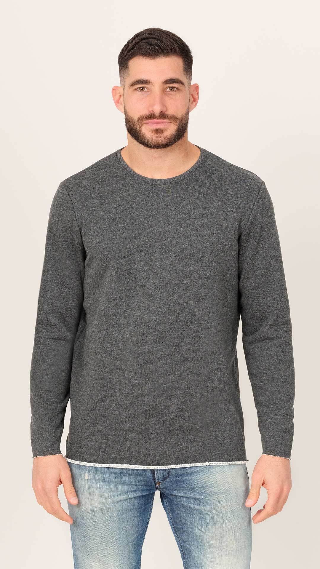 Aesop Sweatshirt in Grey, Front View