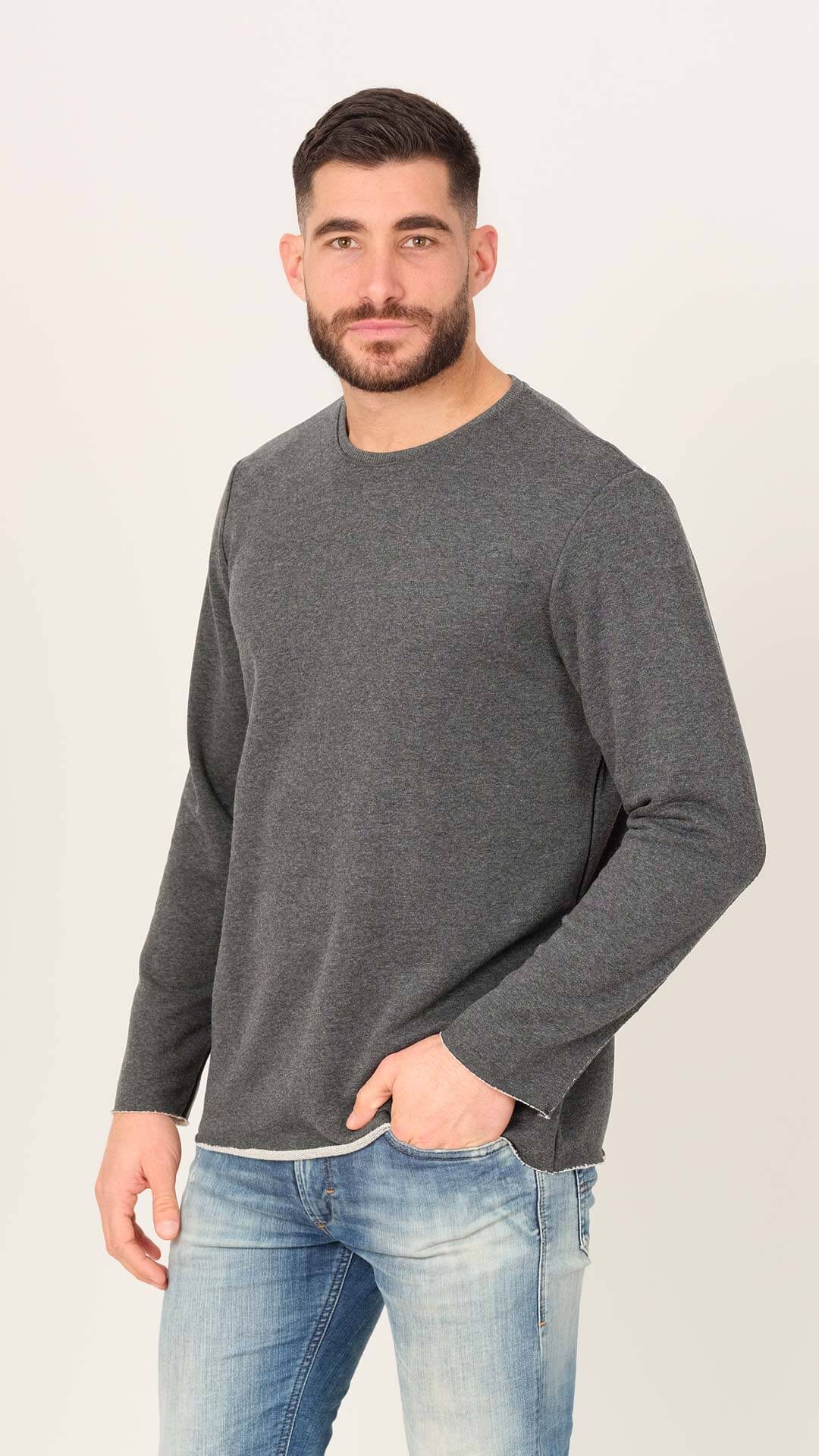Aesop Sweatshirt in Grey, Front View